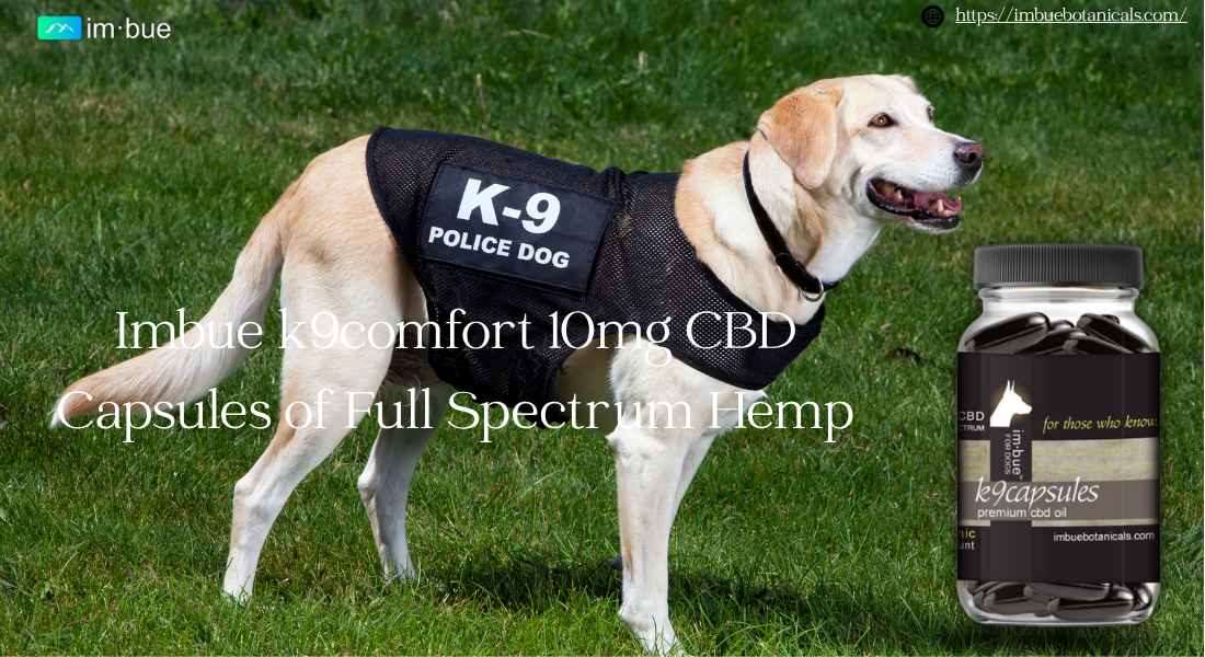 How to Choose the Right K9 CBD Capsules for Your Dog’s Daily Routine